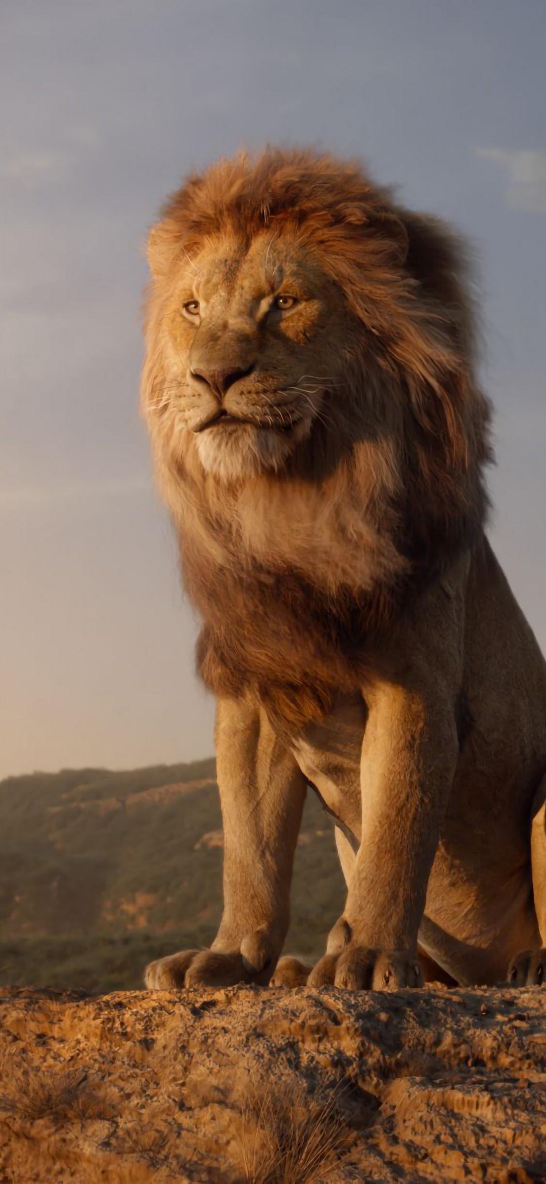 1080x2340 The Lion King 2019 Mufasa Simba 4K Wallpaper