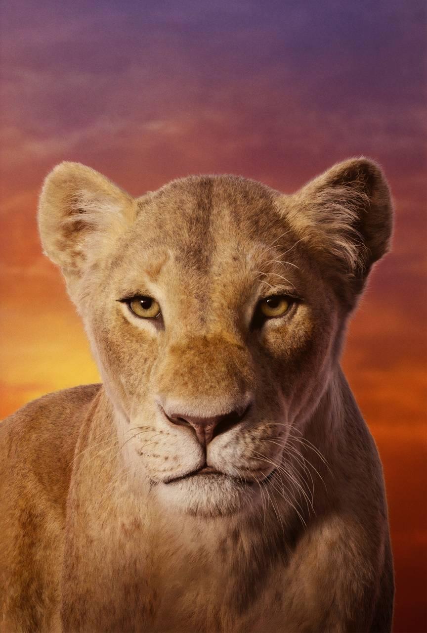 864x1280 The lion king wallpaper