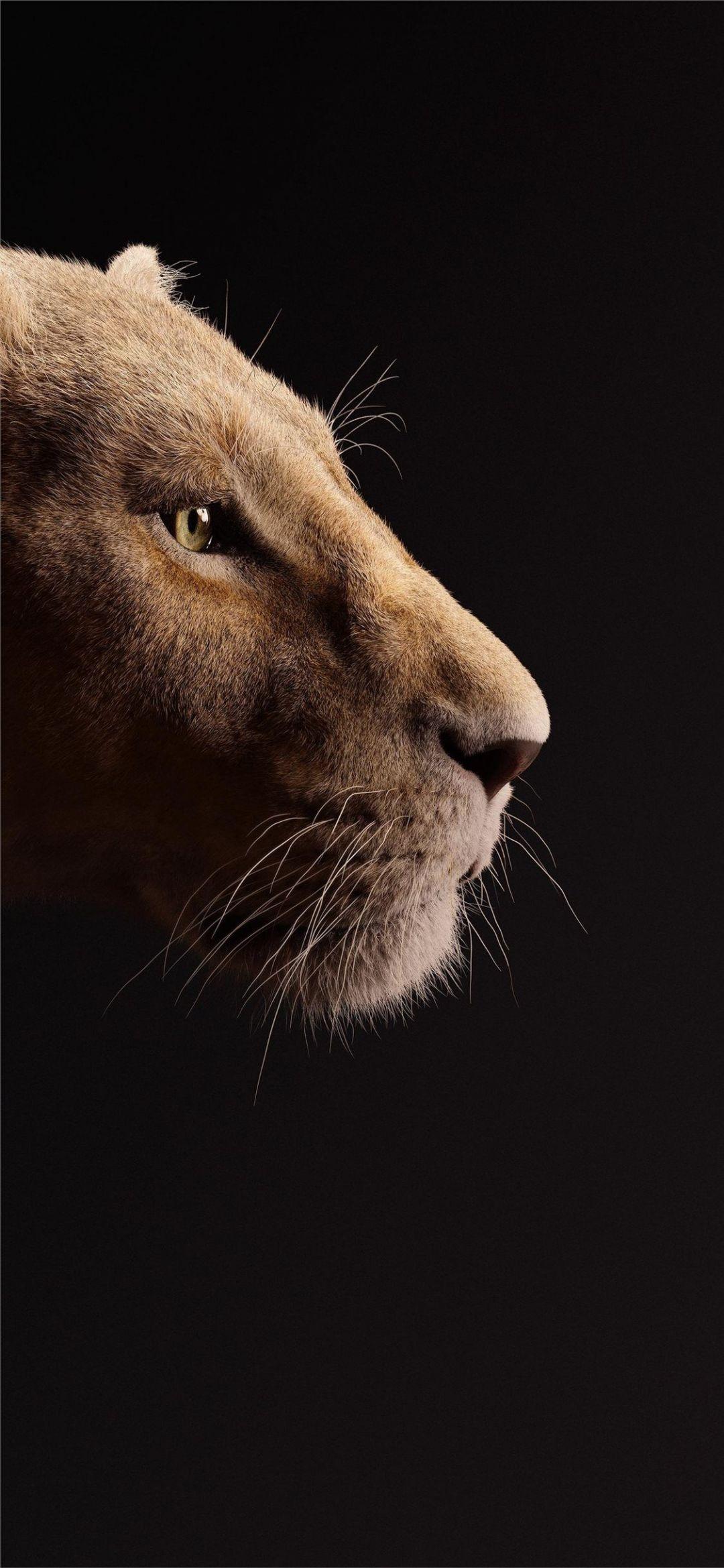 1080x2339 beyonce as nala the lion king 2019 5k iPhone X Wallpaper / iPhone HD Wallpaper Background Download (1125x2436) (2021)