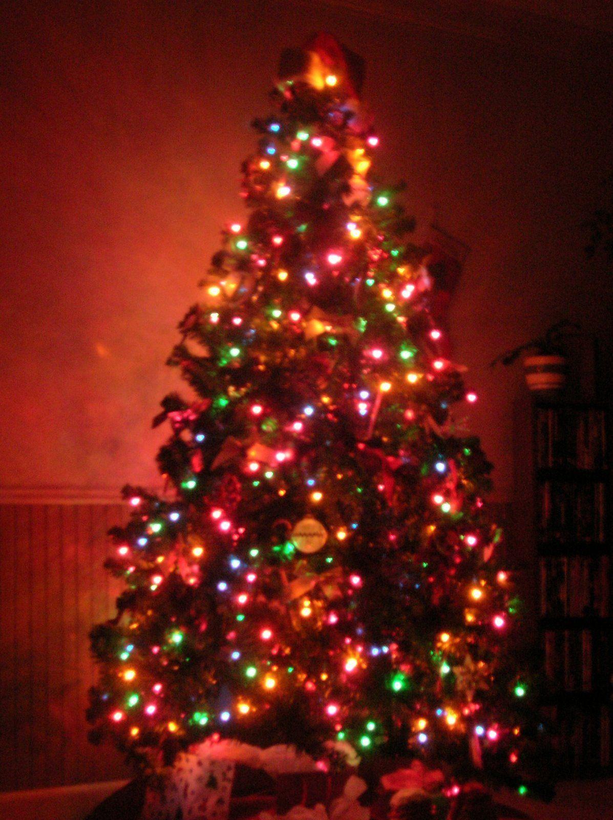 1197x1600 Christmas Lights On Trees Wallpaper