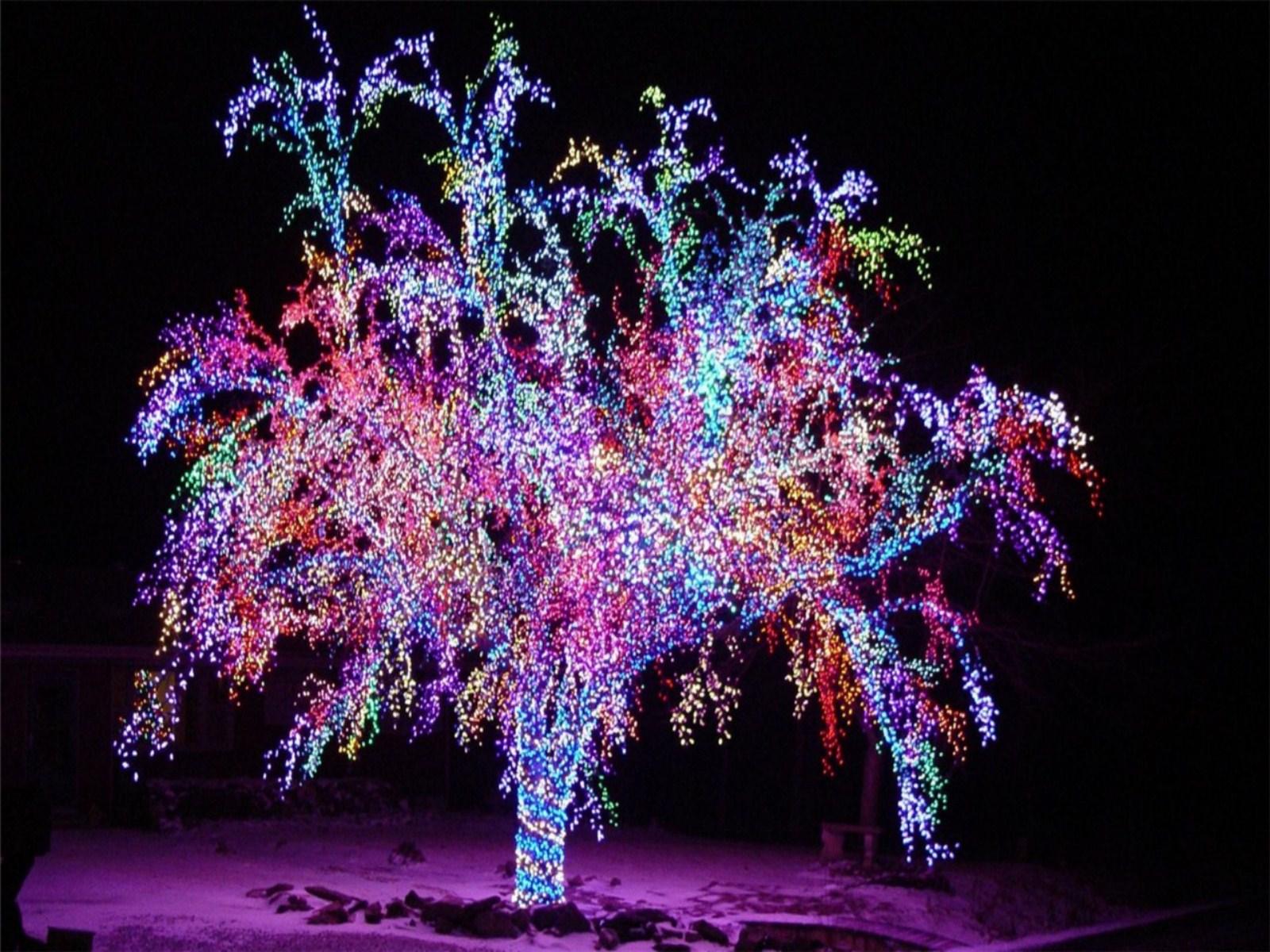 1600x1200 Free download Pics Photo Lights Wallpaper Sfree Christmas Lights Twitter [1600x1200] for your Desktop, Mobile & Tablet. Explore Christmas Lights Background. White Christmas Lights Wallpaper, Holiday Lights Wallpaper