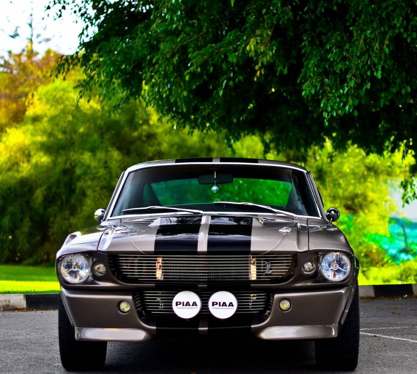 1338x1200 Eleanor Mustang wallpaper