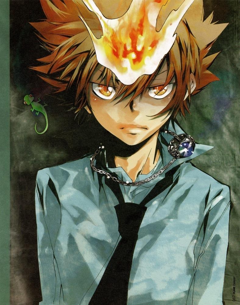 788x1000 Tsuna Hitman Reborn Tsunayoshi