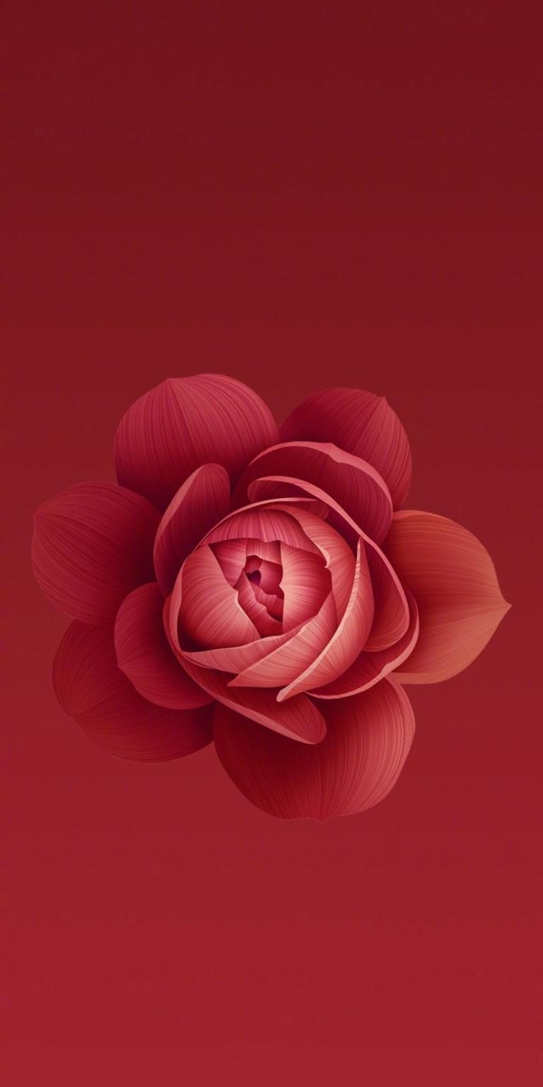 768x1536 Flowers Wallpaper Xiaomi Mi A2 HD Wallpaper Download