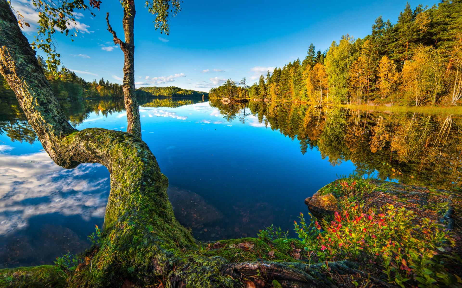 1920x1200 Hurum Buskerud Norway Lake Wood Forest Reflection In Water Wallpaper HD For Desktop :