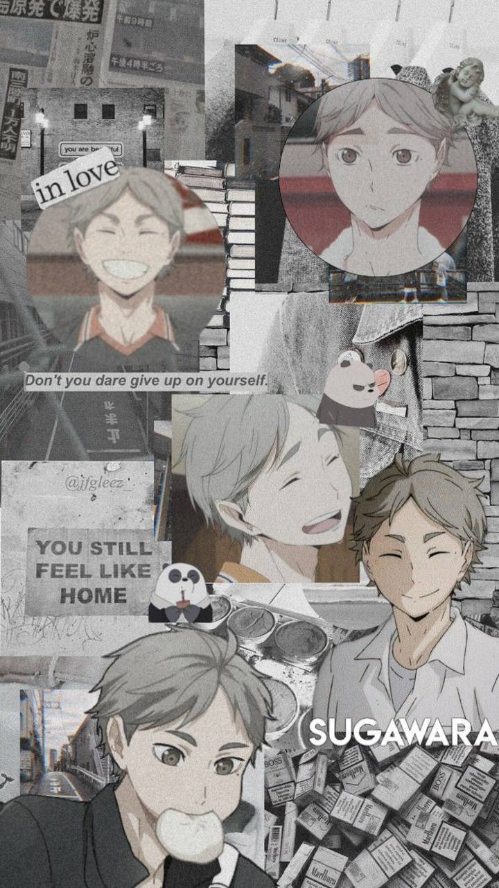 720x1280 Download Sugawara Wallpaper HD