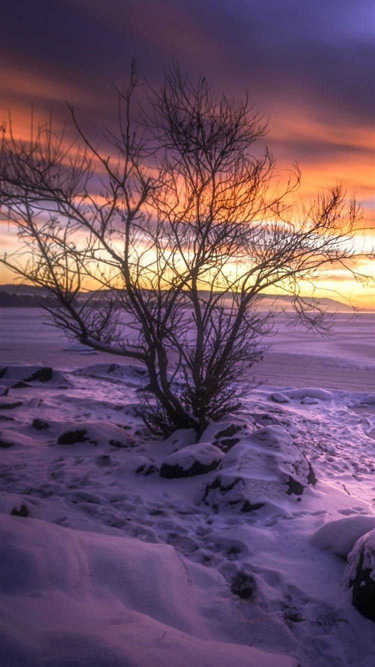 750x1334 Buskerud Norway Lake Winter Snow iPhone 8 Wallpaper Free Download