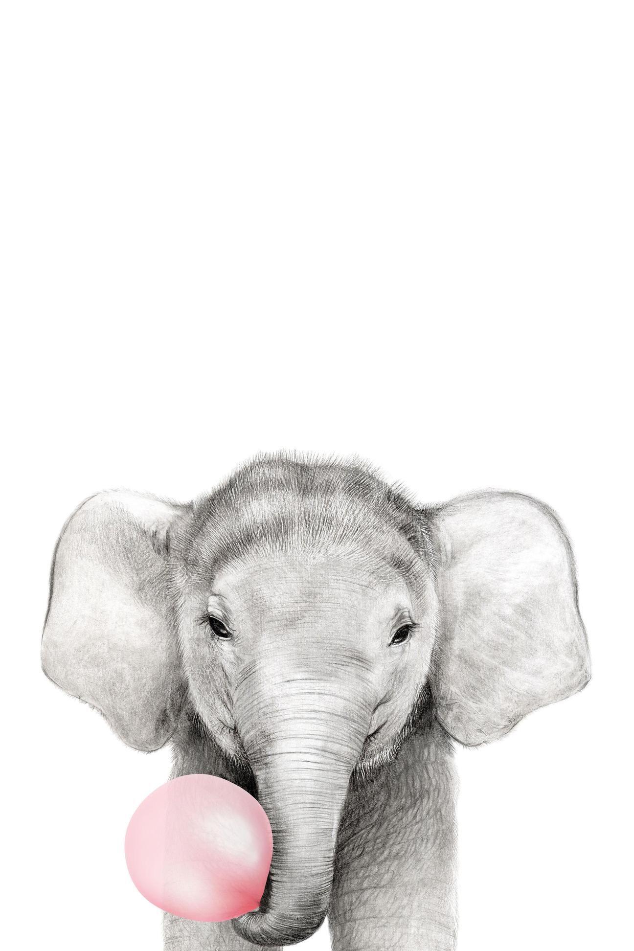 1296x1944 Cute animals