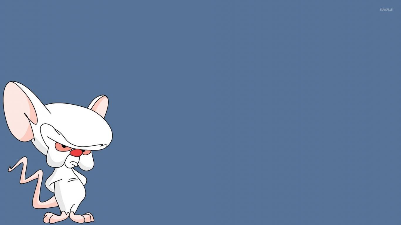 1366x768 Free download Brain from Pinky and the Brain wallpaper Cartoon wallpaper 51244 [1920x1080] for your Desktop, Mobile & Tablet. Explore Pinky And The Brain Wallpaper. Pinky and the Brain