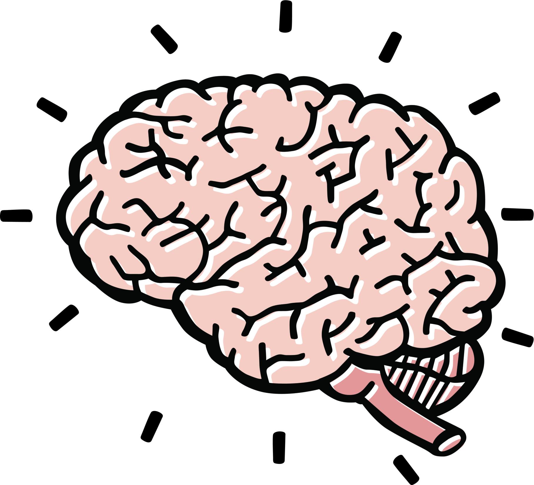 1817x1653 Best Brain Clipart