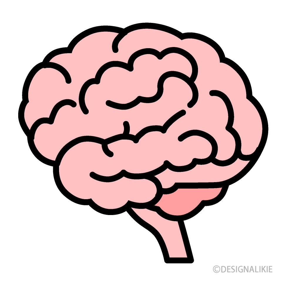 960x960 Simple Brain Clipart Free PNG Image｜Illustoon