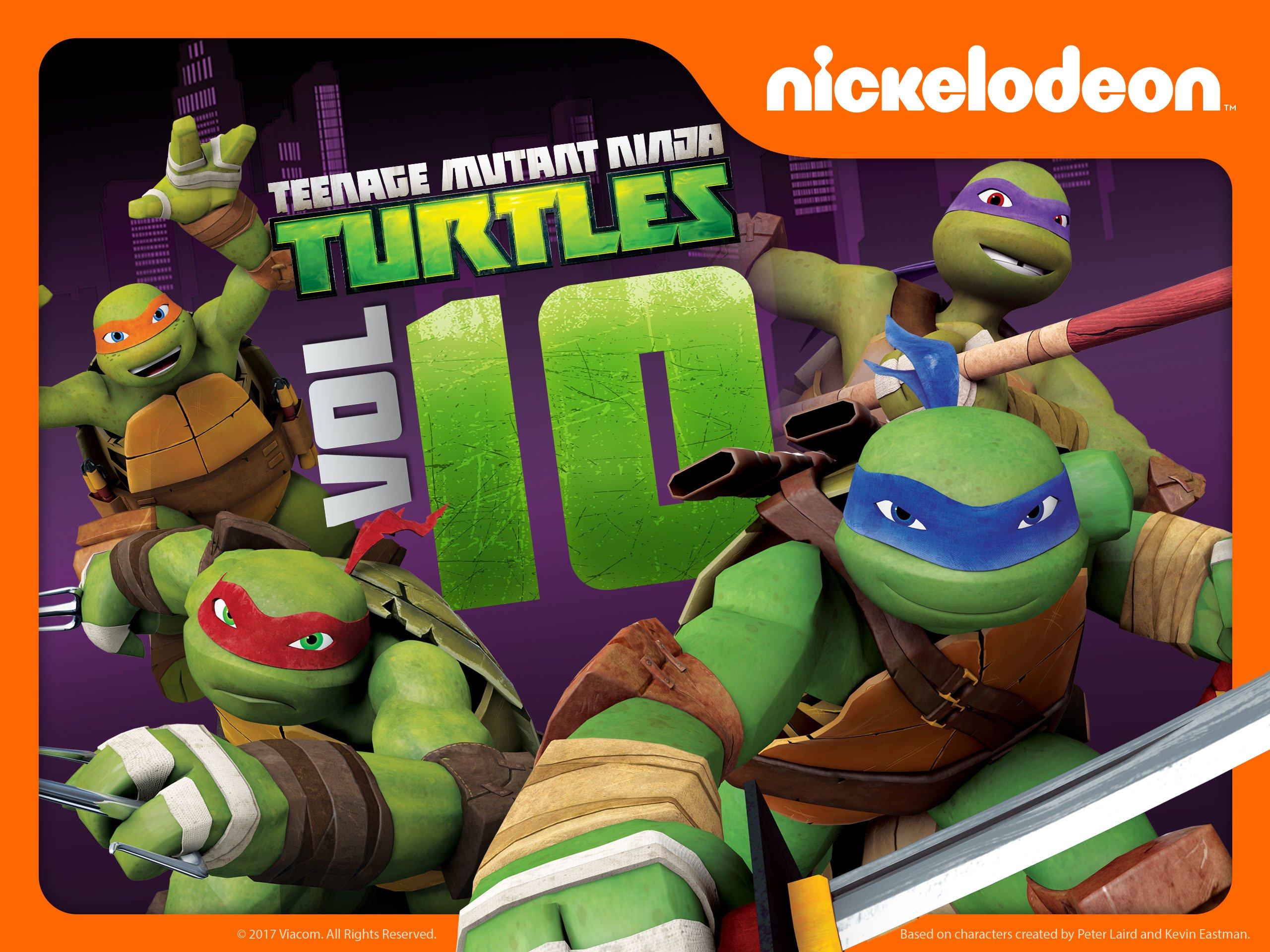 2560x1920 Watch Teenage Mutant Ninja Turtles Season 8