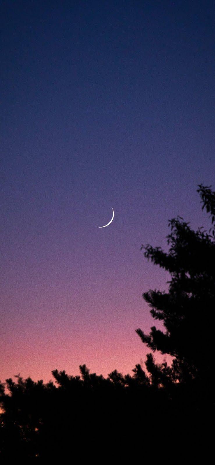 Crescent Moon Aesthetic Wallpapers - Top Free Crescent Moon Aesthetic ...