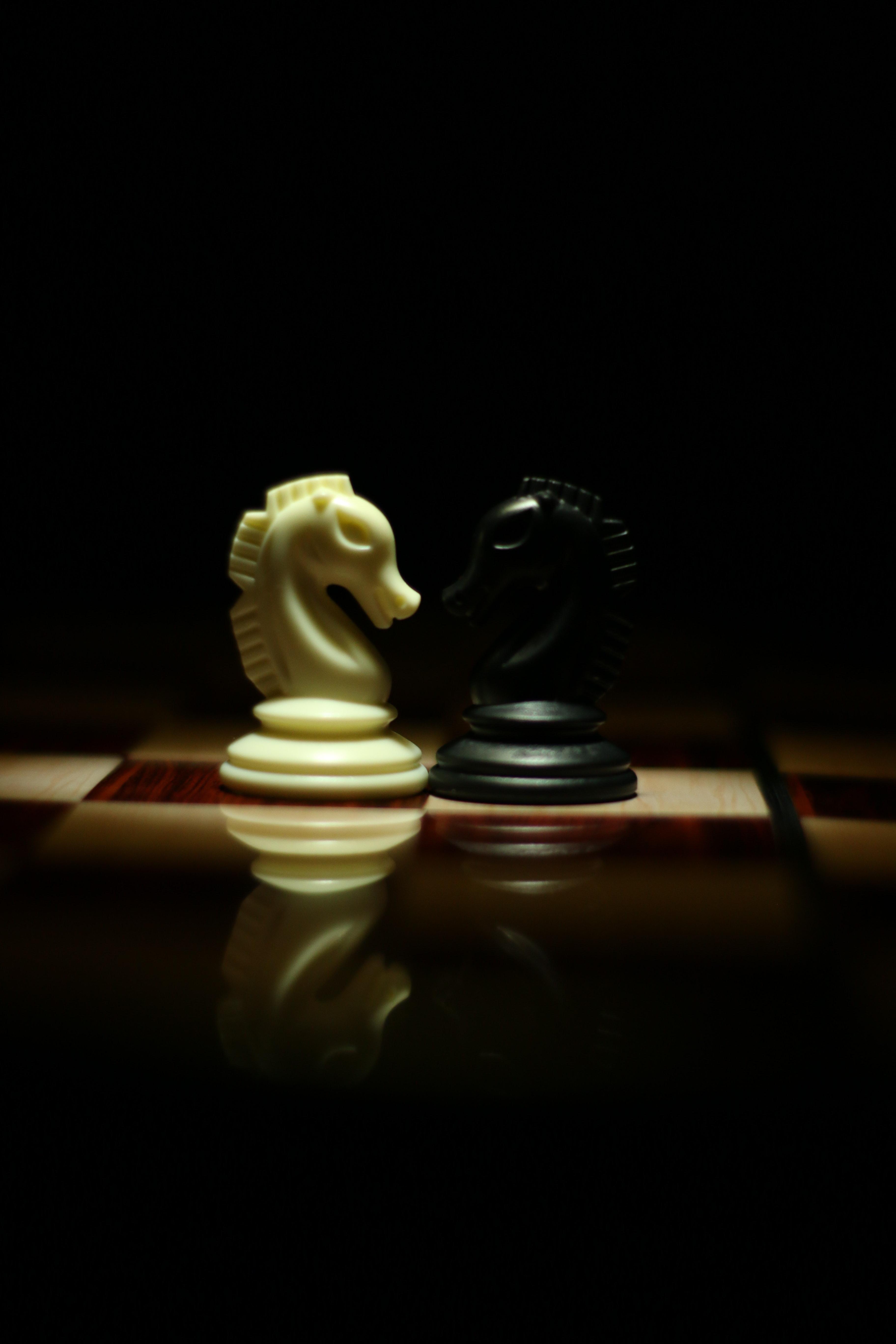 3648x5472 Two White and Black Chess Knights Facing Each Other on Chess Board · Free