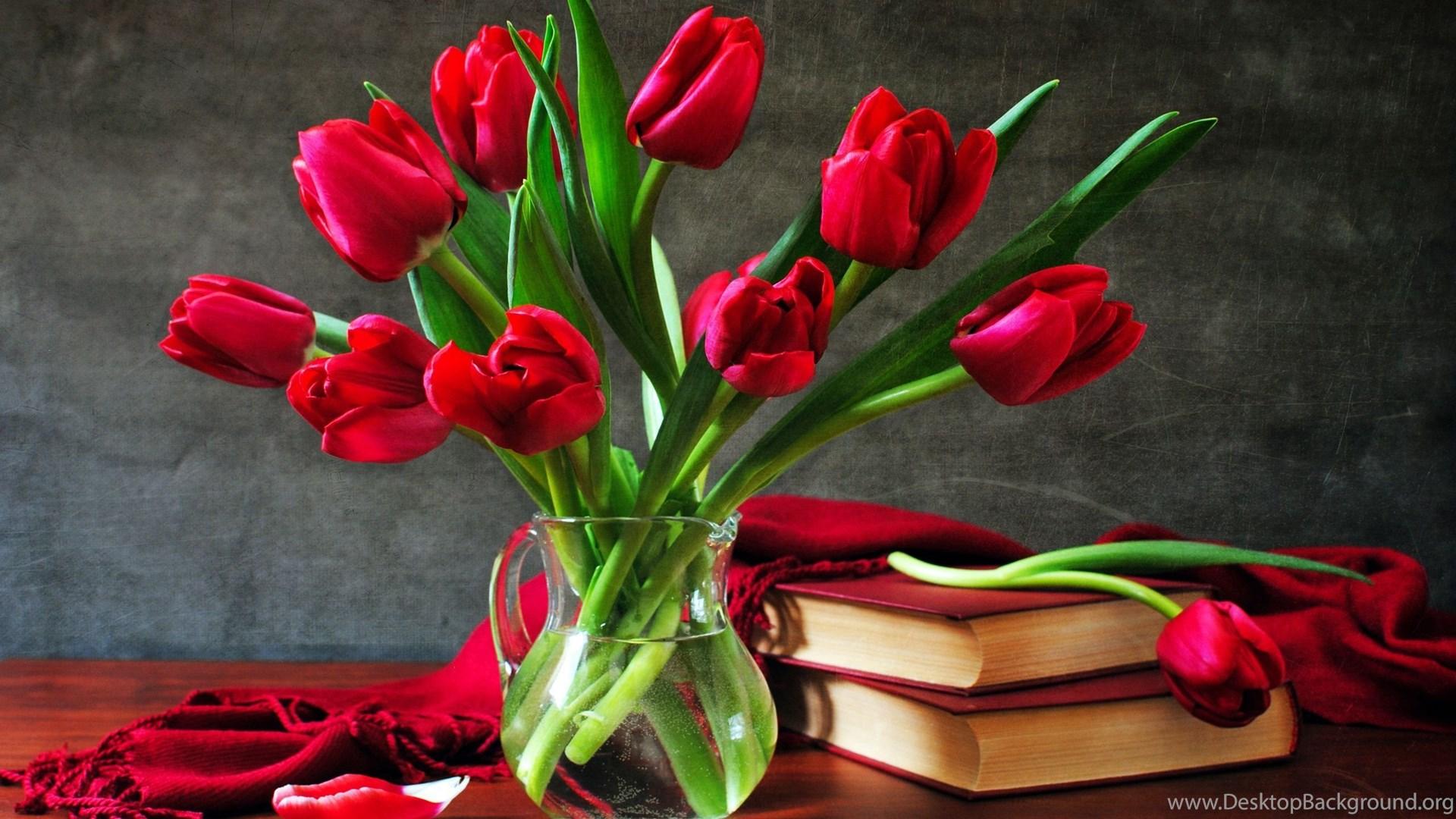 1920x1080 Red Tulips Wallpaper Widescreen HD Wallpaper Desktop Background