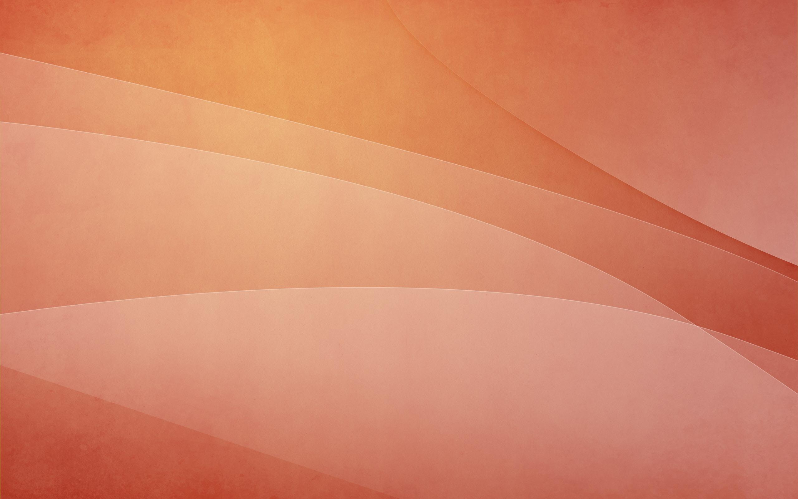 2560x1600 Salmon Wallpaper