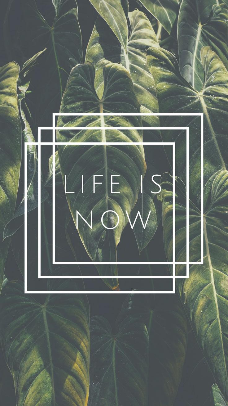 736x1308 Inspirational Quotes Wallpaper iPhone Background (Free Download!)
