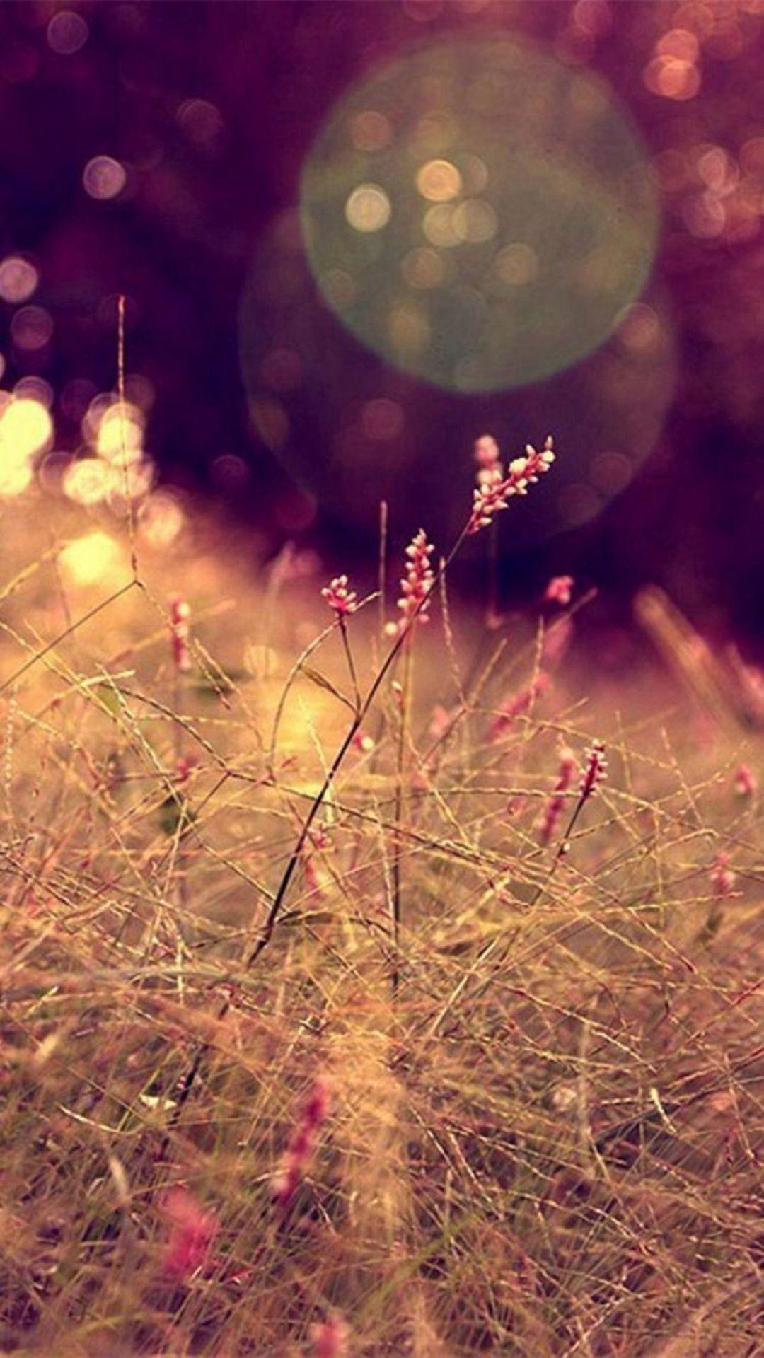 Magical Spring Wallpapers - Top Free Magical Spring Backgrounds ...