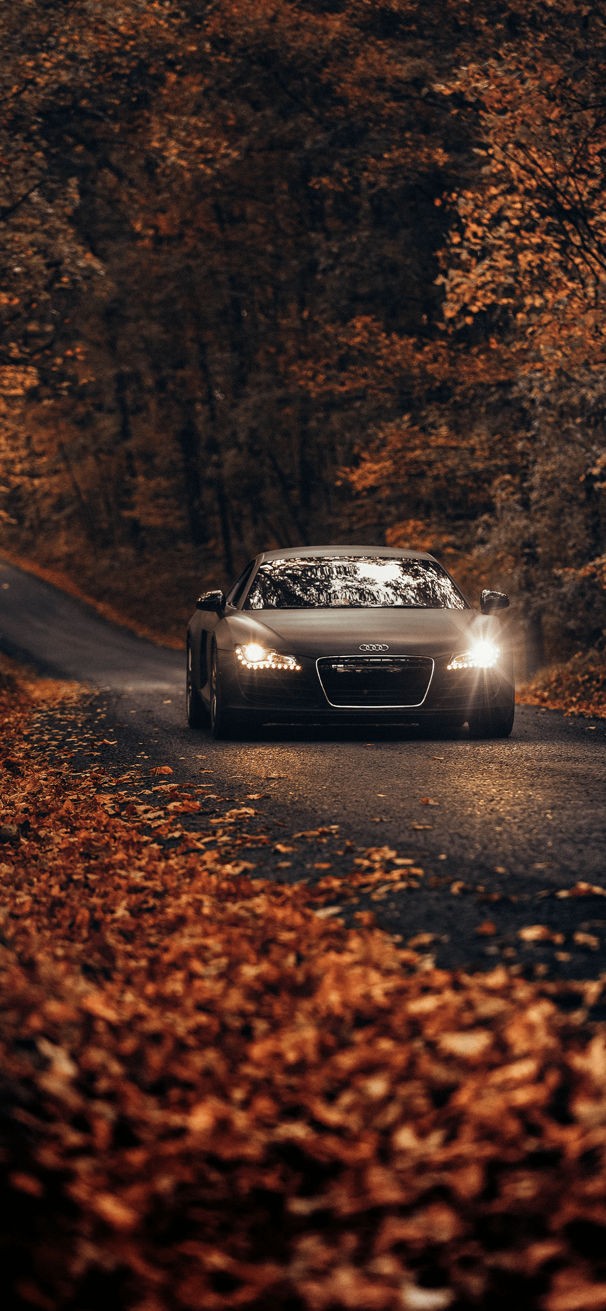 1242x2688 Tag For iPhone : 2016 Vorsteiner Audi S5 V Ff 104 Carbon Graphite Wallpaper iPhone 5. White A4 Coupe Background Tuning Drives 5 Wallpaper. 2013 Senner Static 2 1024x768