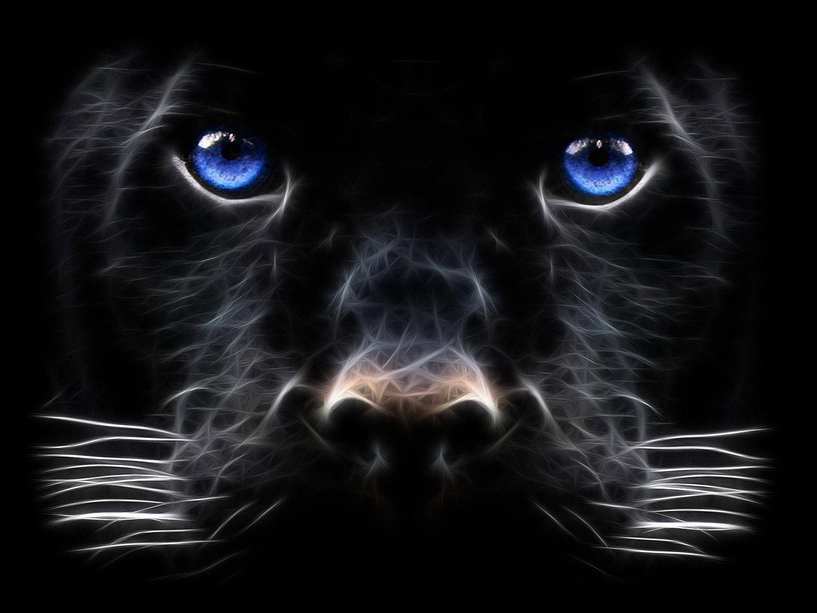 1600x1200 Black Leopard Wallpaper