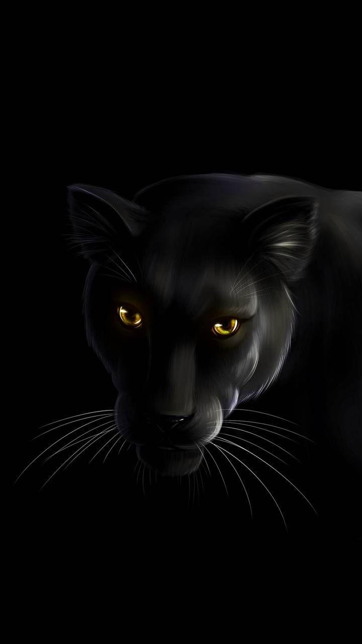 720x1280 Cat Black Panther Wallpaper