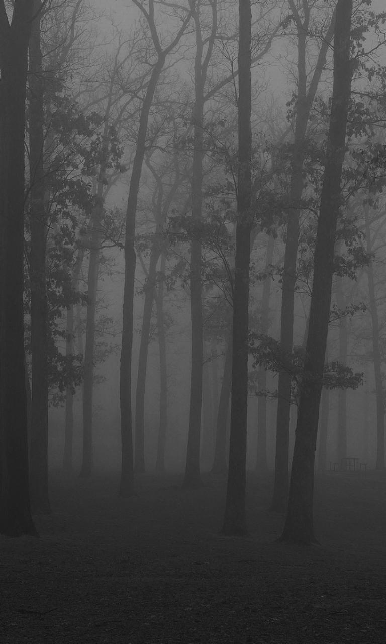 768x1280 Jason Voorhees iPhone Wallpaper