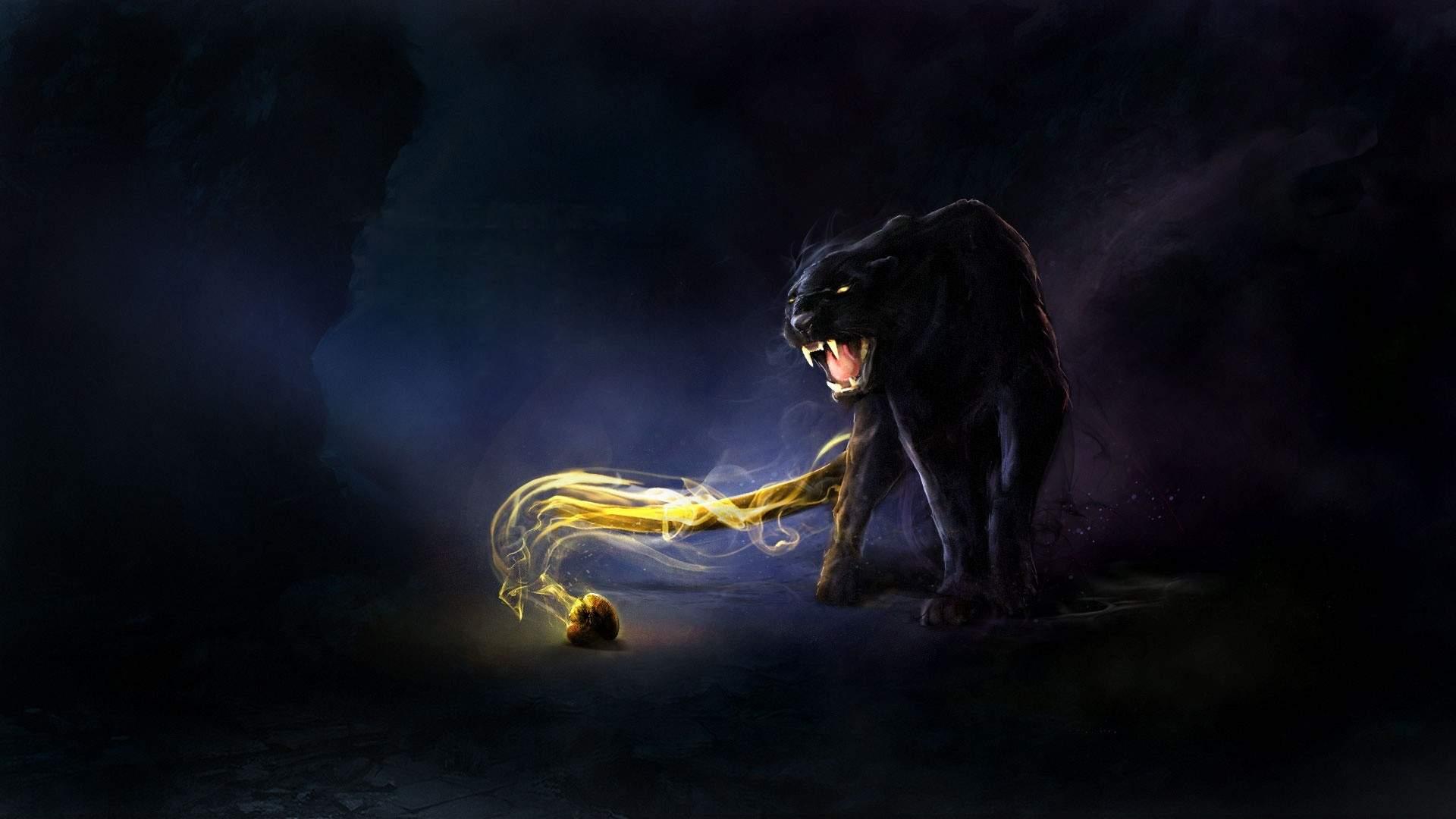 1920x1080 Desktop Wallpaper Black Panther Cat, HD Image, Picture, Background, Hlbgqw