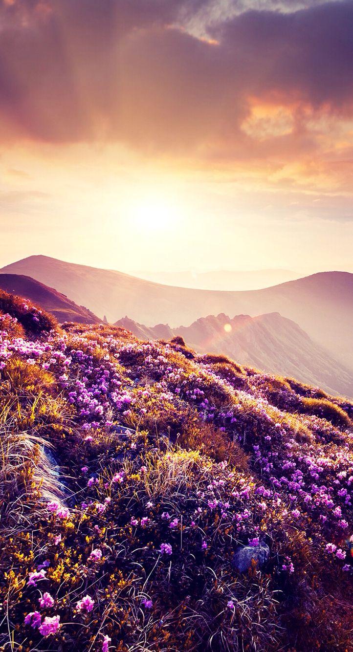 722x1334 iPhone wallpaper. Nature iphone wallpaper, Nature wallpaper, Phone wallpaper image