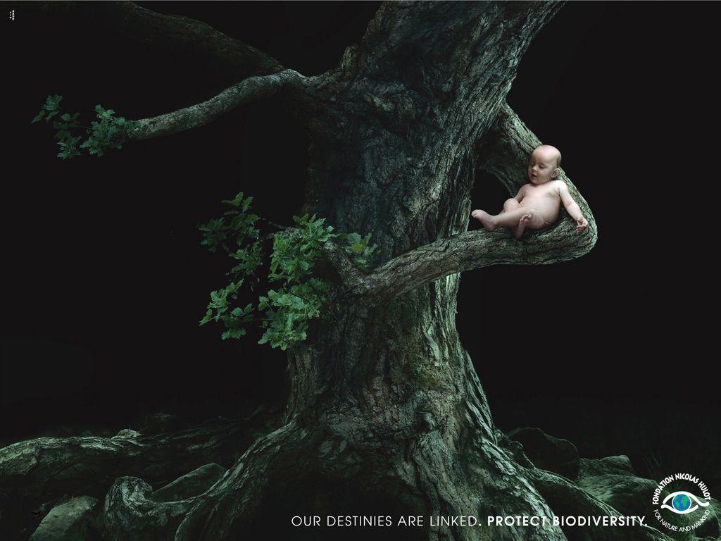 1024x768 Save the Planet Wallpaper