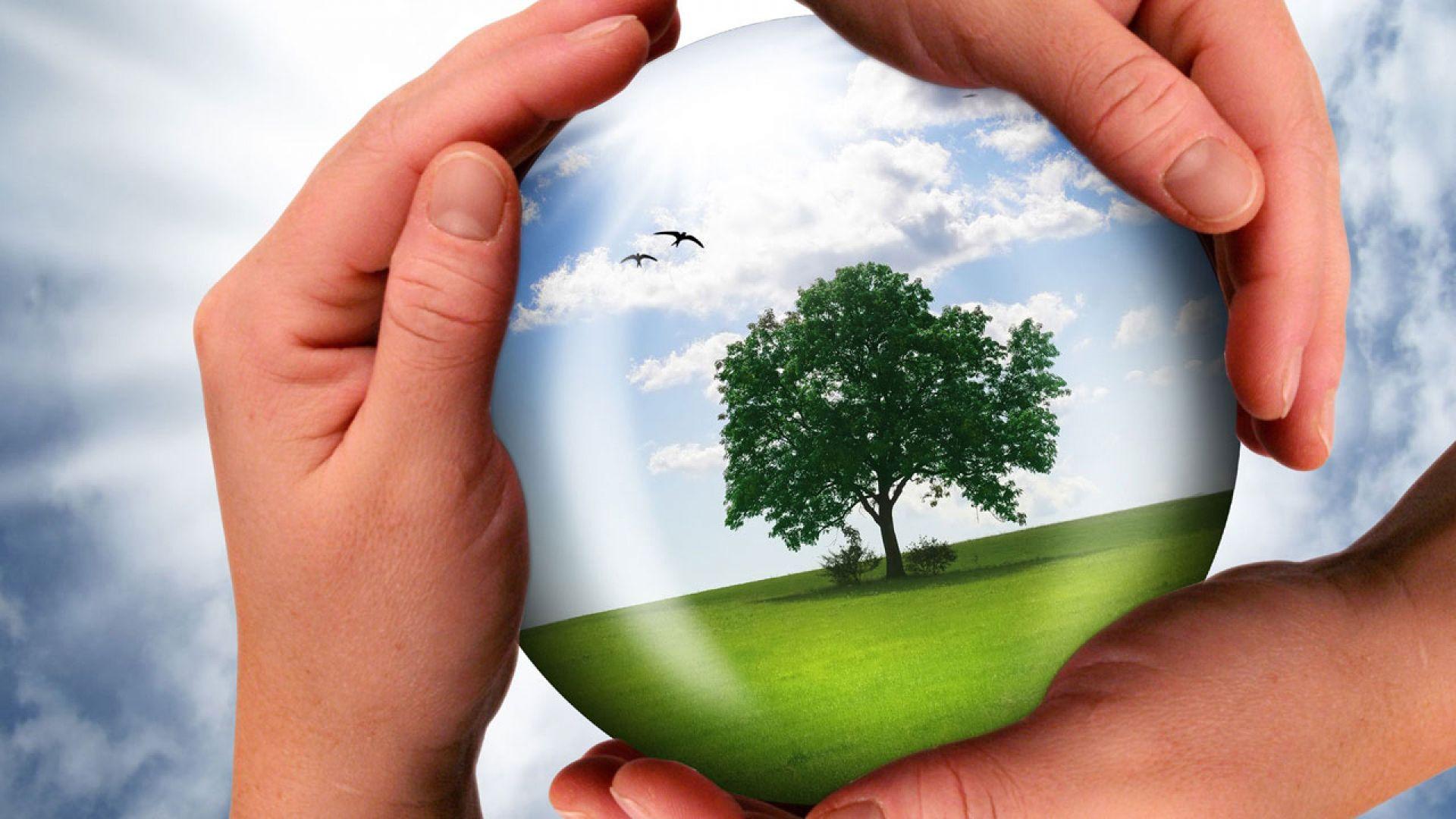 1920x1080 3D Mother Nature Wallpaper and Abstract Wallpaper. All is Wall
