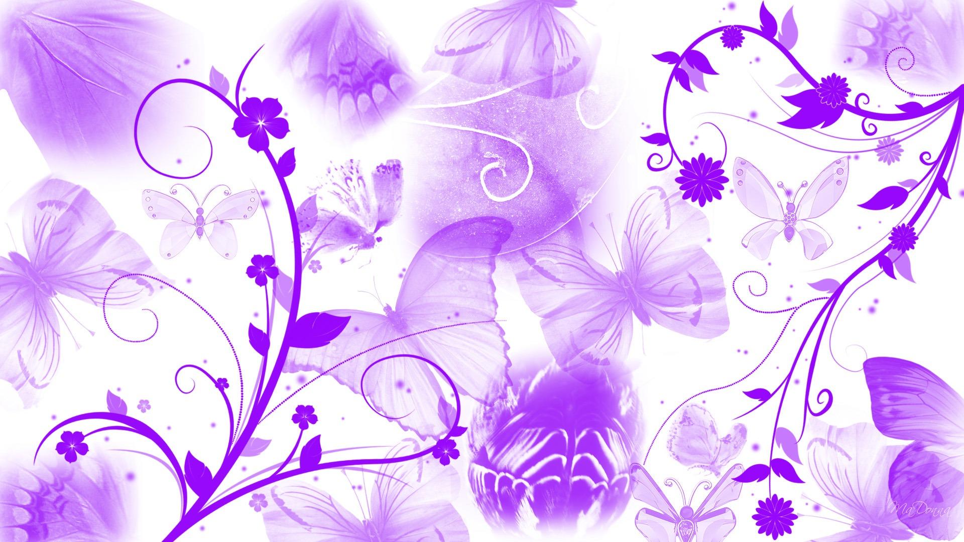 1920x1080 Download Purple And White Flower Wallpaper Gallery