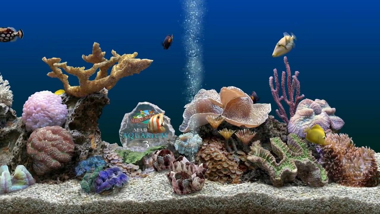 marine aquarium 3 screensaver