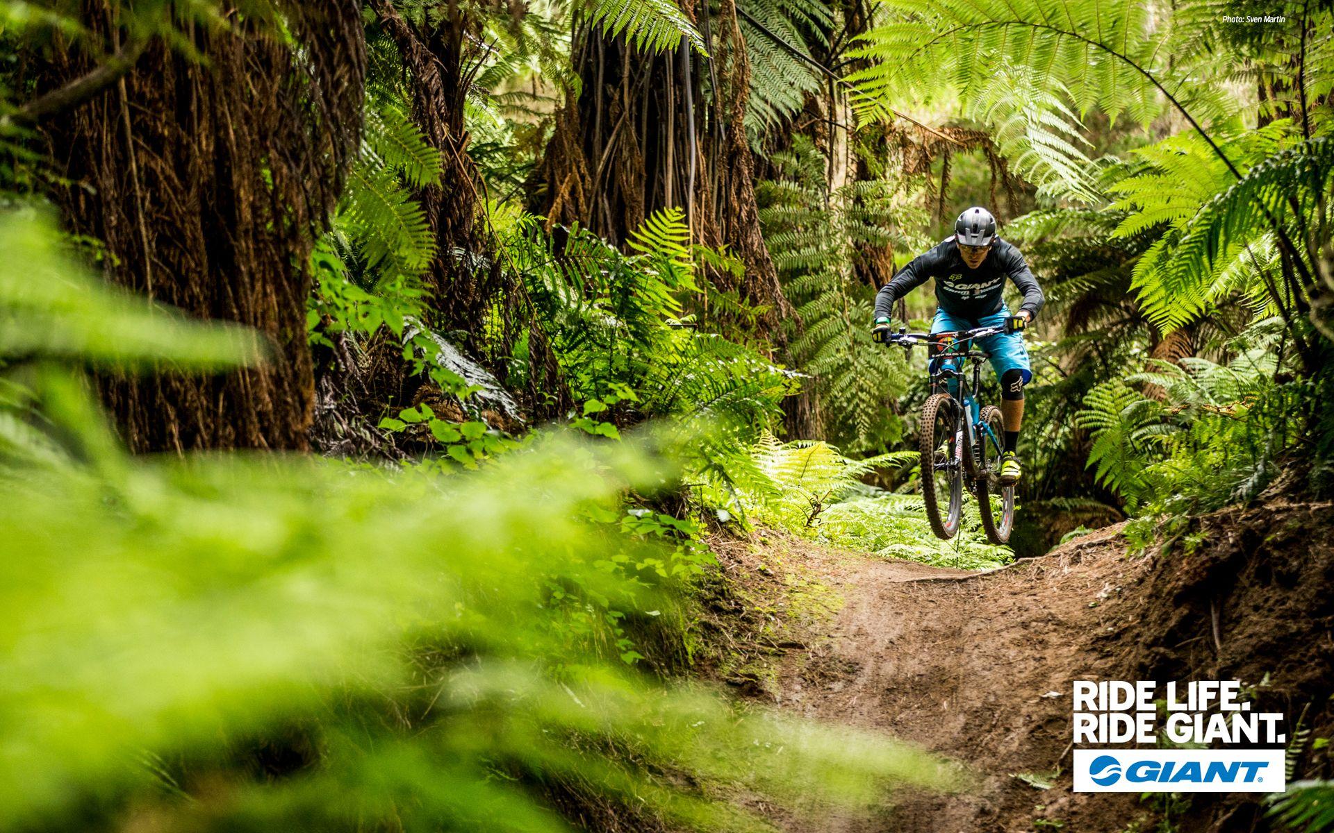 1920x1200 Giant bikes, Giant bicycles, Giants