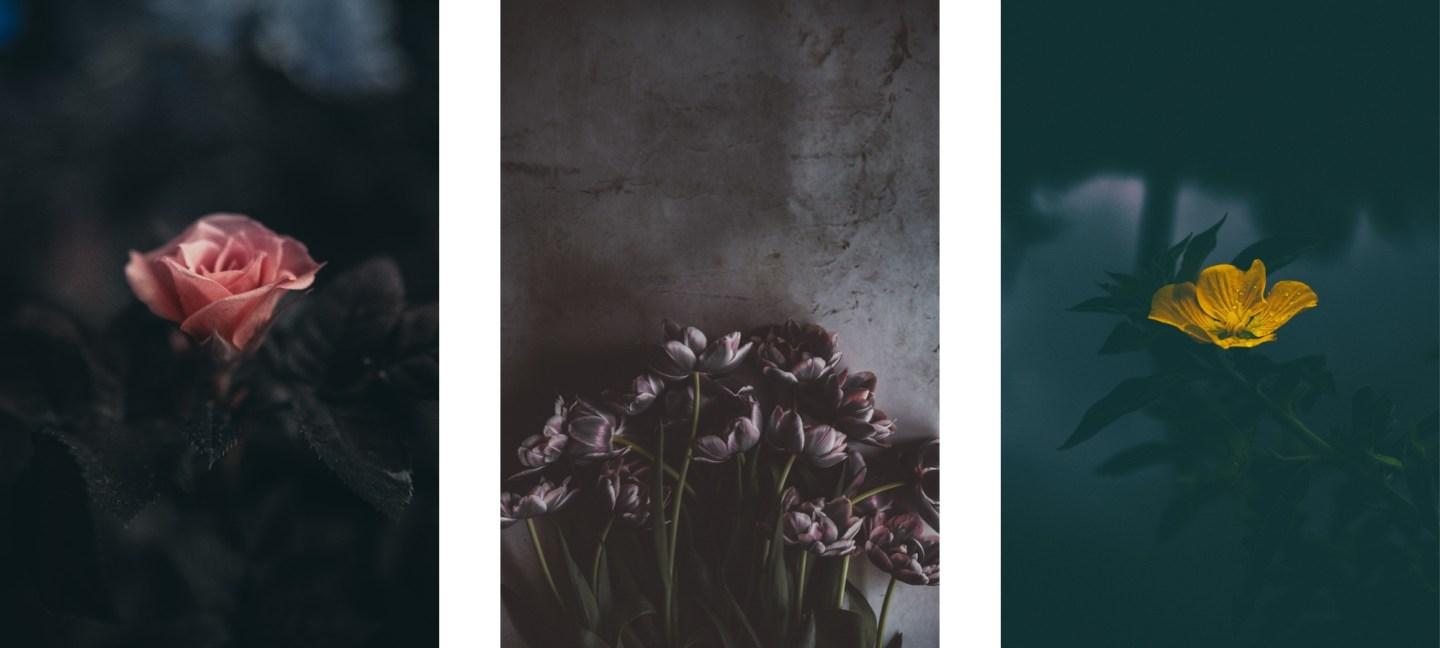 1440x648 Dark Aesthetic Wallpaper Background For iPhone To Download Now. Glory of the Snow