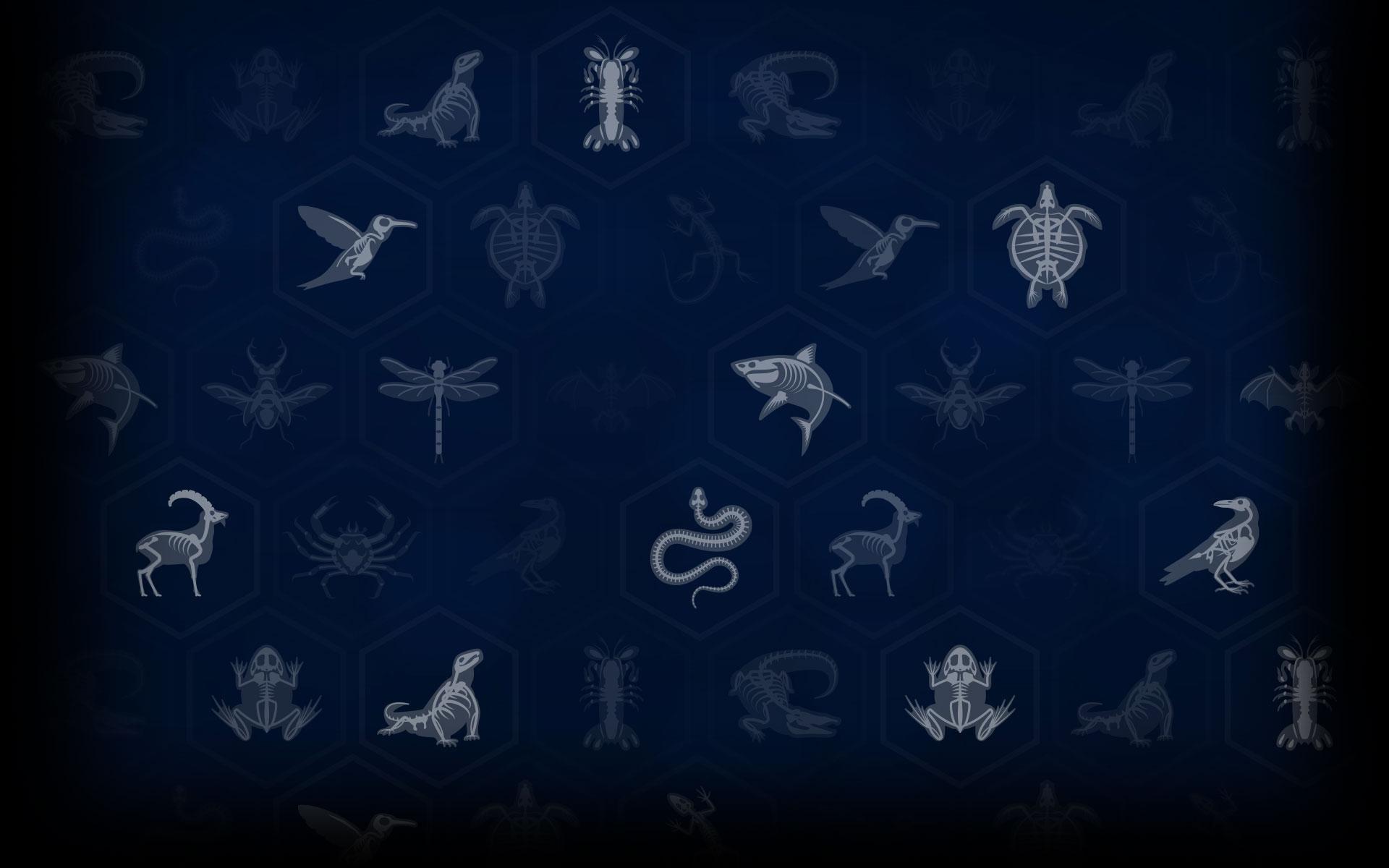 Minimalist Jurassic Park Wallpapers - Top Free Minimalist Jurassic Park