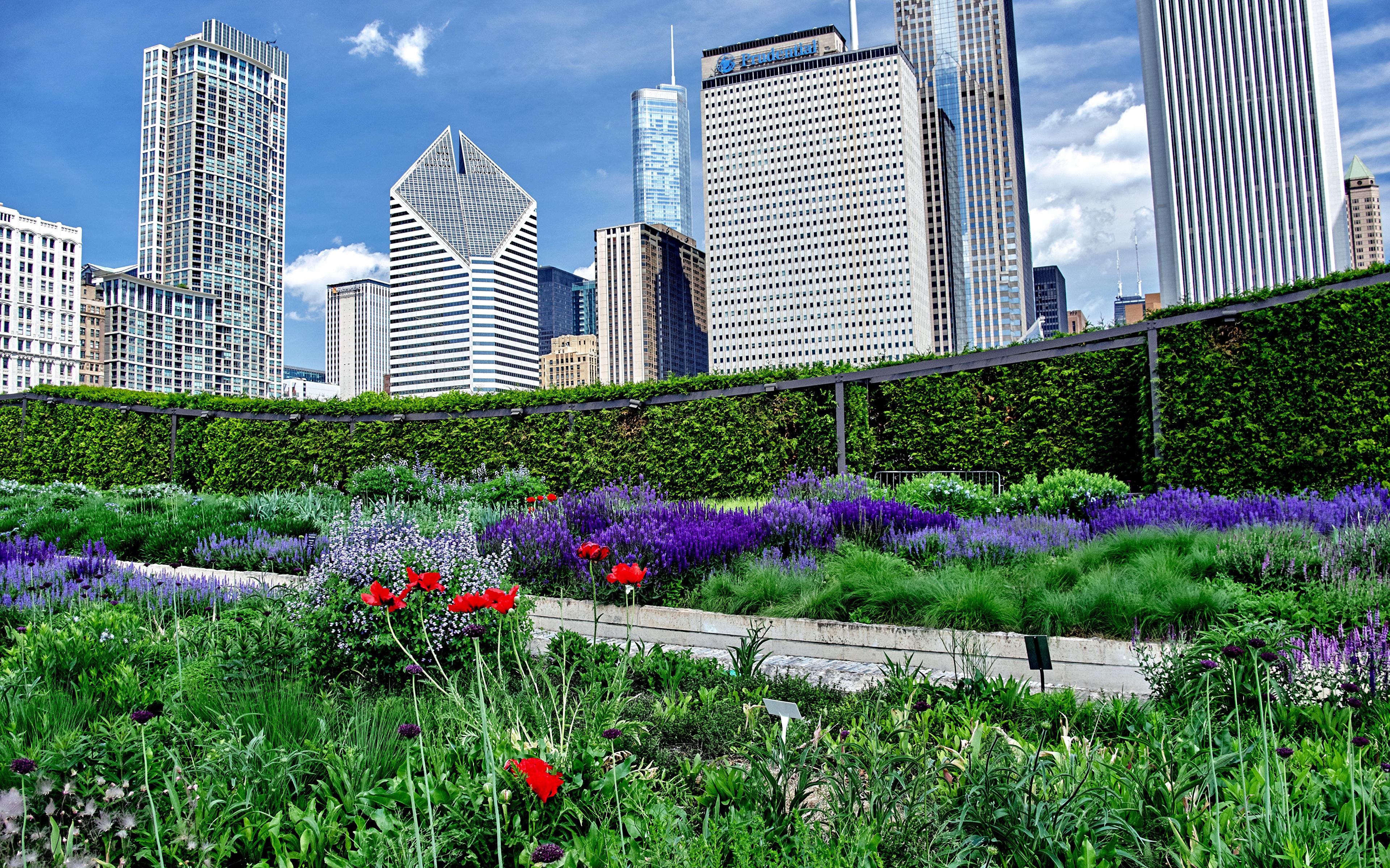 3840x2400 Photo Chicago city USA Skyscrapers Shrubs Cities 3840x2400