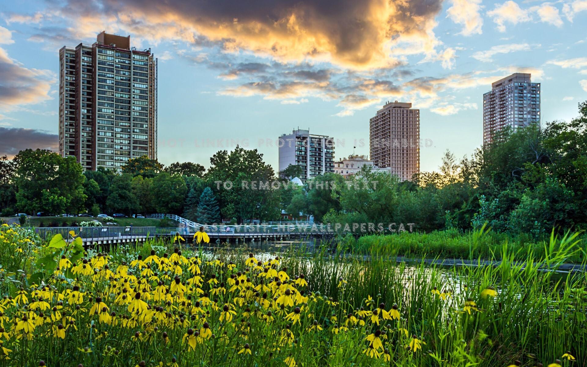 1920x1200 chicago in springtime flowers skyscrapers