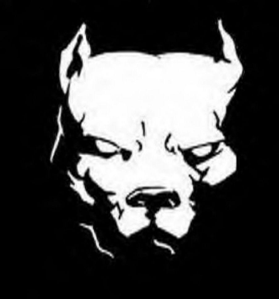 Pitbull Logo Wallpapers - Top Free Pitbull Logo Backgrounds ...