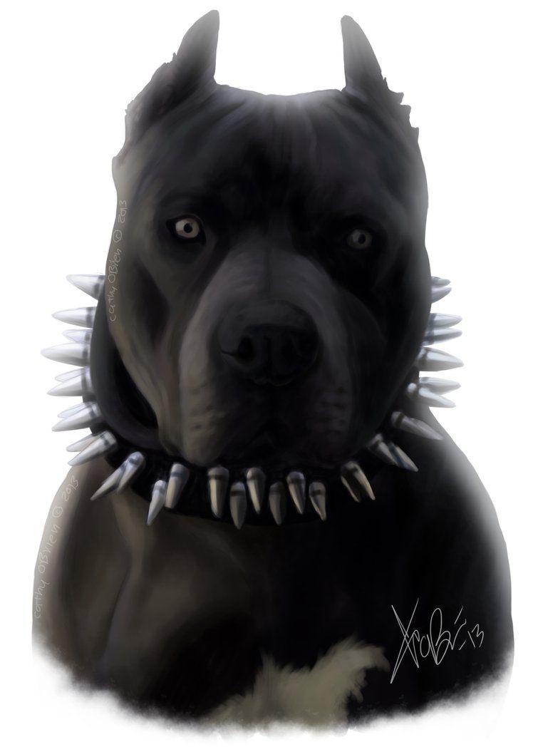 762x1048 pitbulls