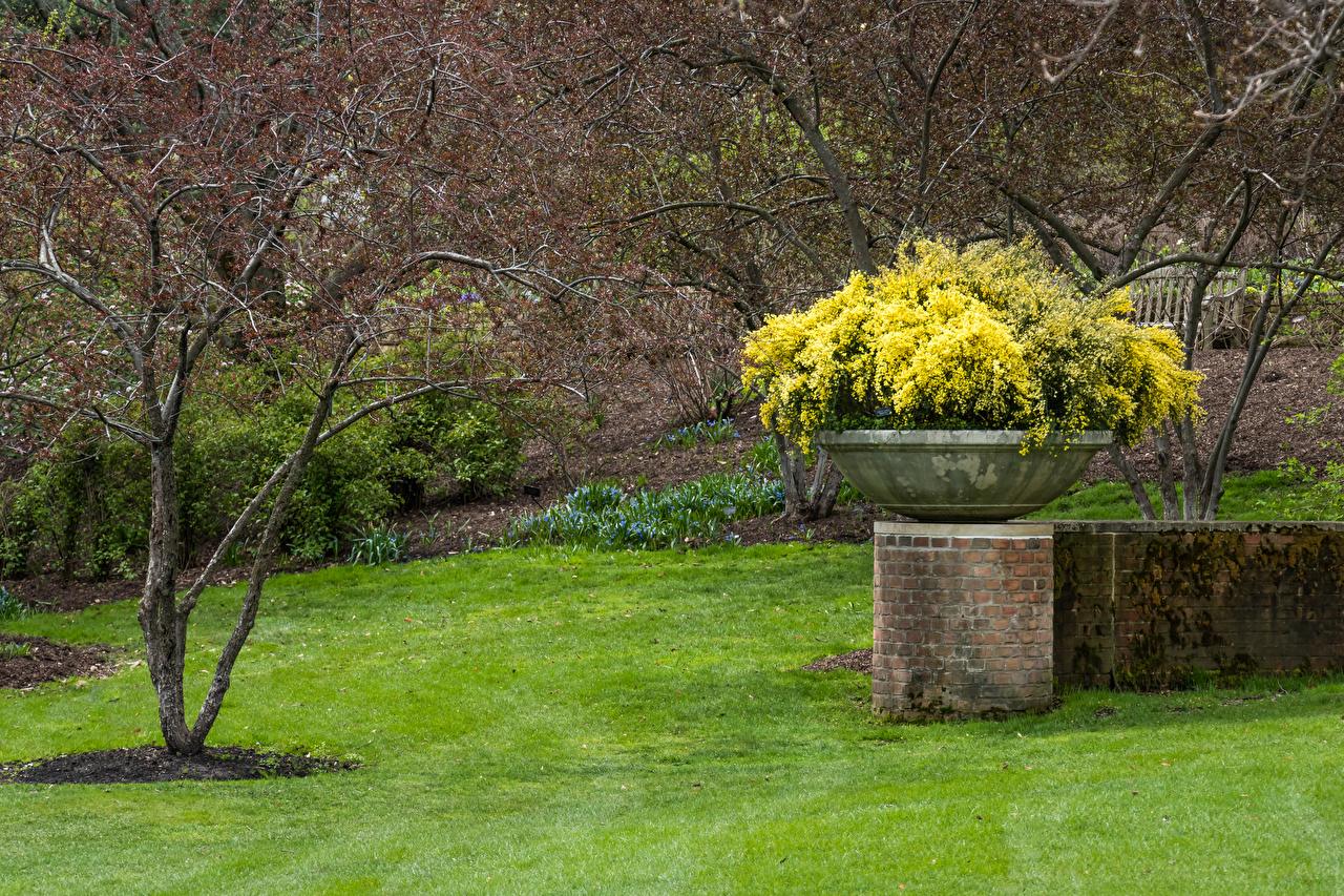1280x853 Desktop Wallpaper Chicago city USA Botanic Garden Spring Nature