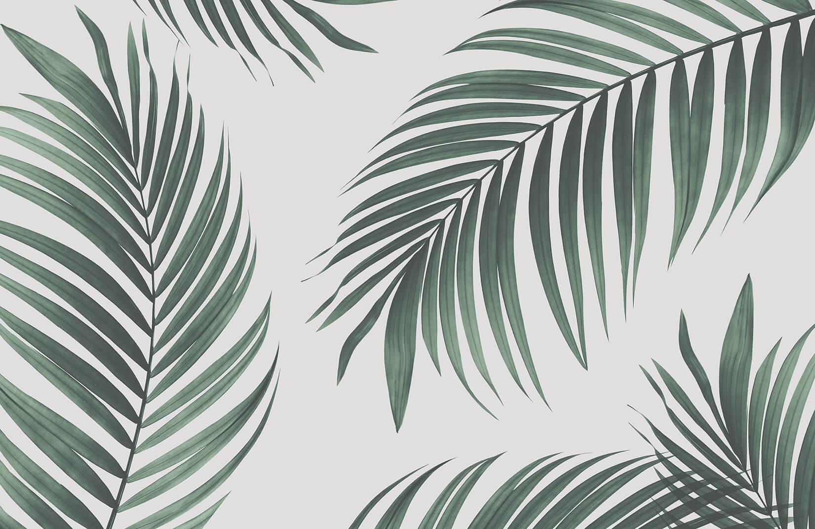 1650x1070 Tropical Palm Wallpaper Mural