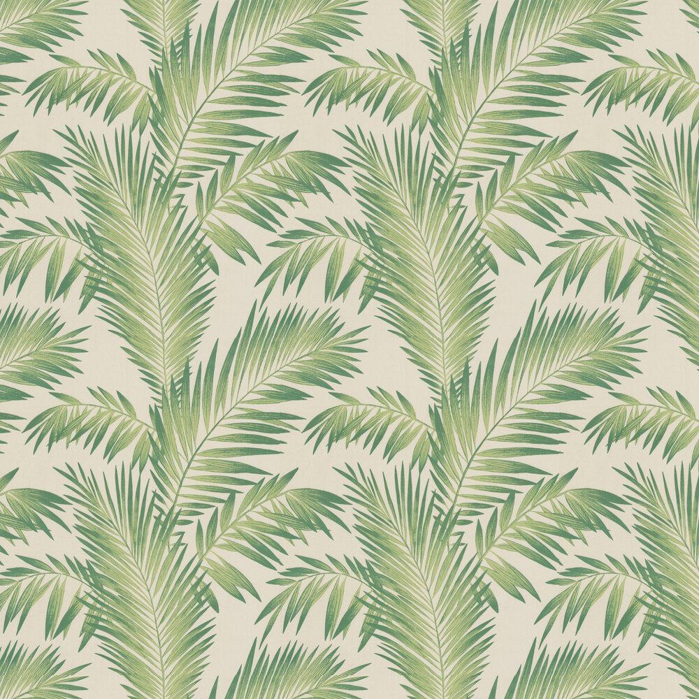 Tropical Palm Wallpapers - Top Free Tropical Palm Backgrounds