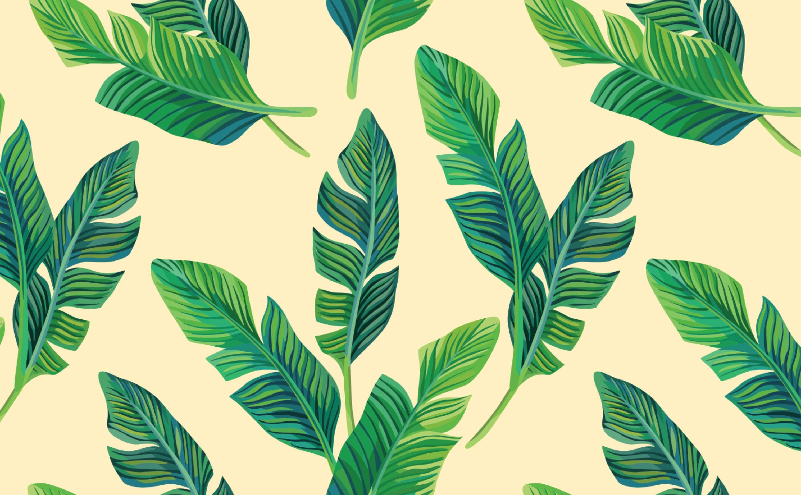 3028x1872 Caribbean Cool Tropical Wallpaper. Iconic Tropical Image