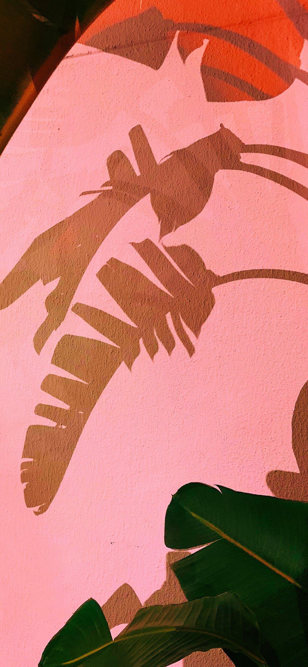 1170x2532 Pink Aesthetic Wallpaper Background You Need For Your Phone Right Now!
