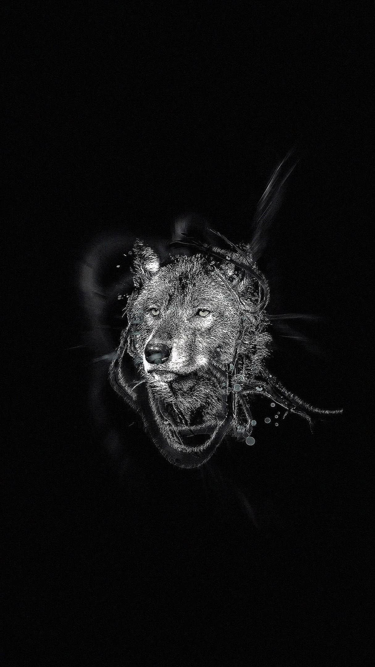 1215x2161 Dark Wolf Wallpaper IPhone Wallpaper.pro
