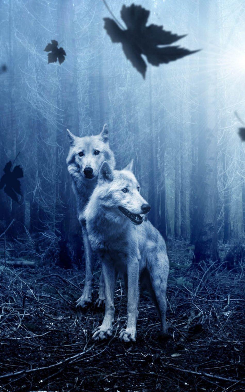 4K Ultra HD iPhone Wolf Wallpapers - Top Free 4K Ultra HD iPhone Wolf