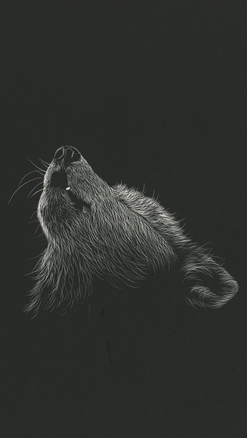800x1420 Download Wallpaper 800x1420 Wolf, Howl, Art, Drawing, Bw Iphone Se 5s 5c 5 For Parallax HD Background