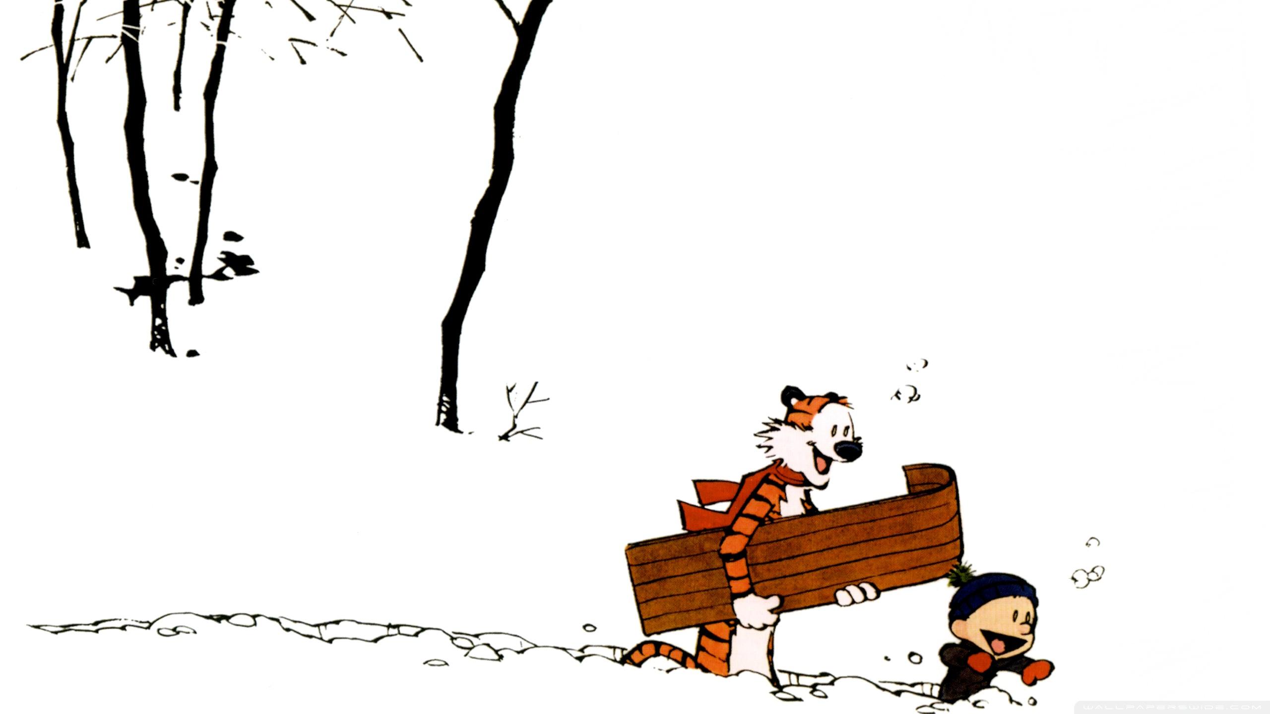 2560x1440 Calvin And Hobbes, Winter Ultra HD Desktop Background Wallpaper for 4K UHD TV : Tablet