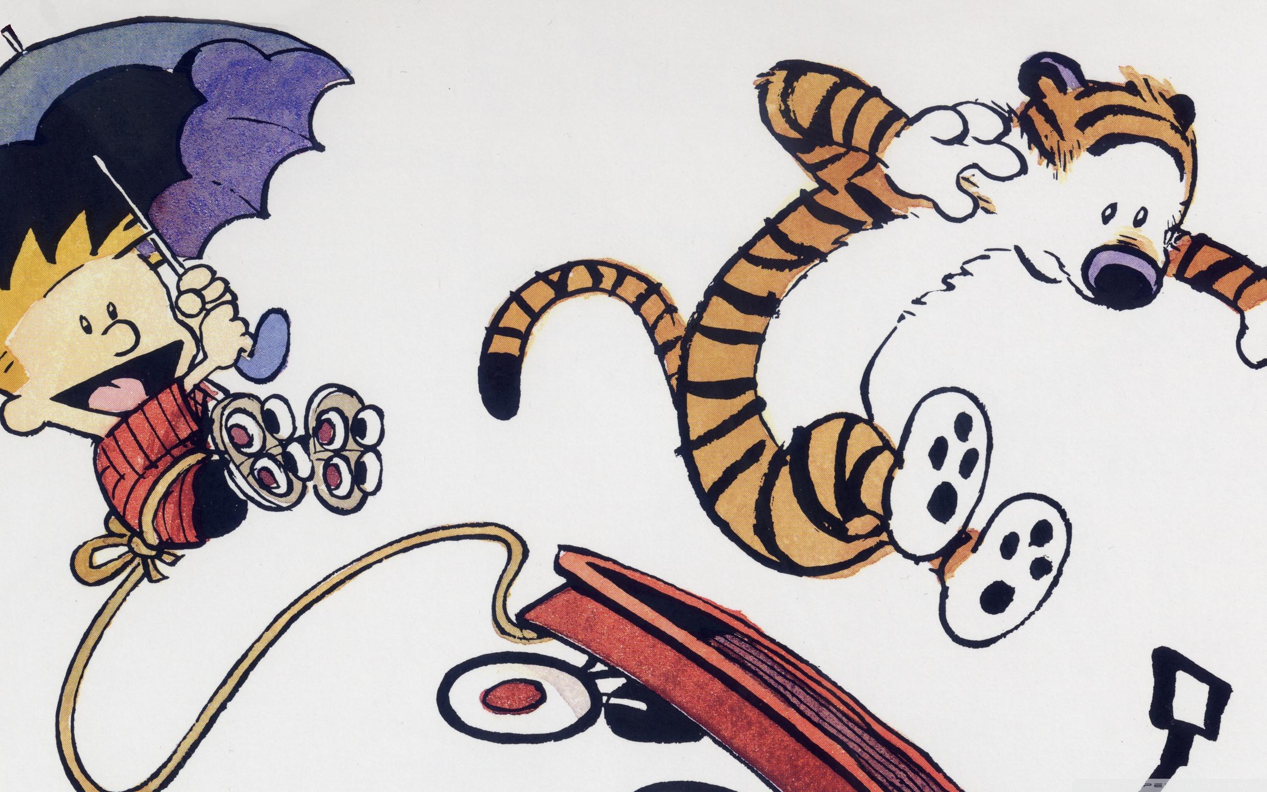 2560x1600 Calvin And Hobbes Ultra HD Desktop Background Wallpaper for 4K UHD TV : Tablet