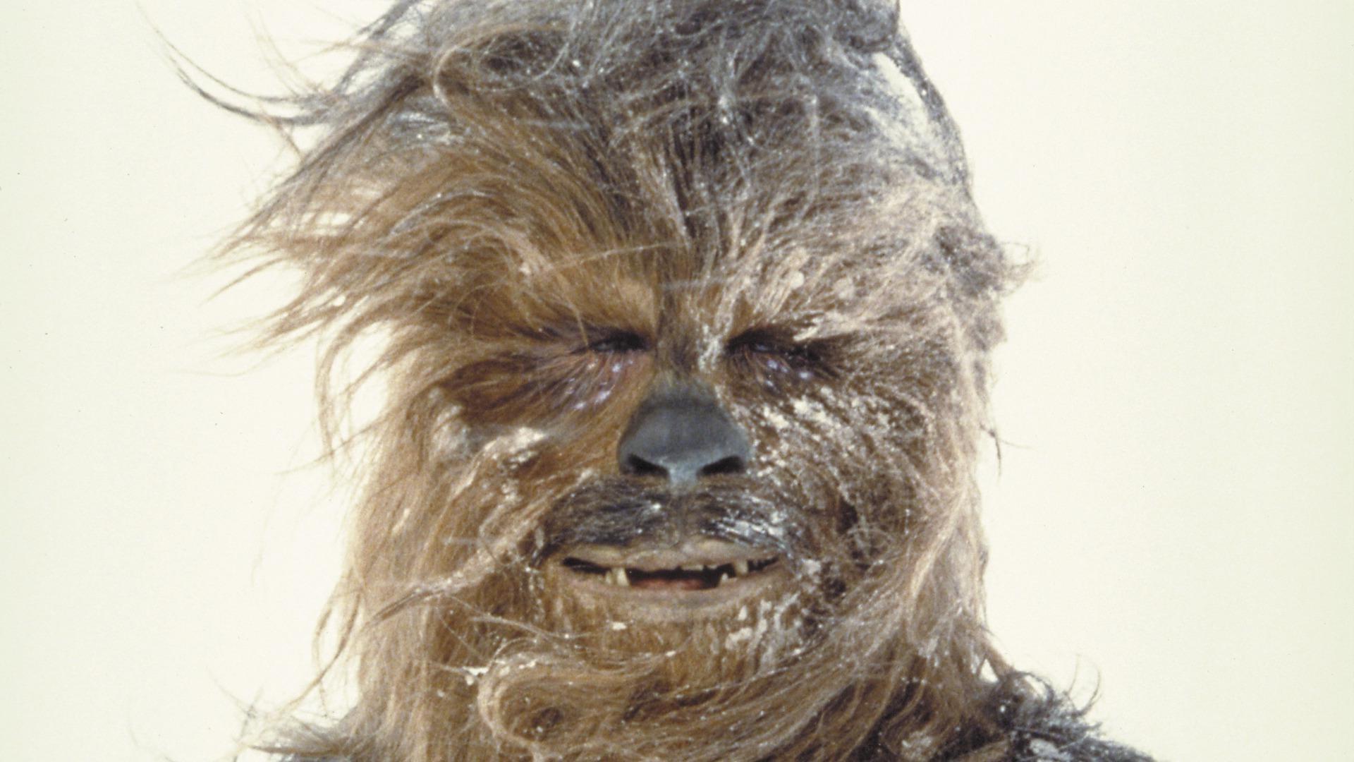 1920x1080 Free download Chewbacca Star Wars wallpaper 5842 [1920x1080] for your Desktop, Mobile & Tablet. Explore Star Wars Chewbacca Wallpaper. Star Wars Chewbacca Wallpaper, Star Wars Star Background, Star Wars Background